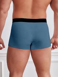 Men's Ice Silk Briefs Boxers (Pack of 5)